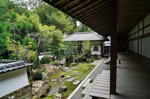 パワースポット滋賀 西教寺59 客殿回廊 パワースポット滋賀 西教寺59 客殿回廊 パワースポット,滋賀県,西教寺の写真素材