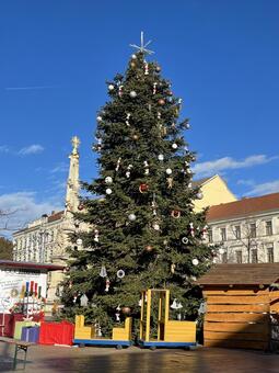 青空に映えるクリスマスツリー クリスマスツリー,クリスマス,１２月の写真素材