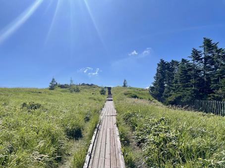 夏の美ヶ原、木道と青空のハイキング 夏の美ヶ原、木道と青空のハイキング 長野県,美ヶ原高原,夏の写真素材