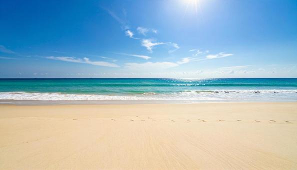 きれいな夏の海1 きれいな夏の海1の写真