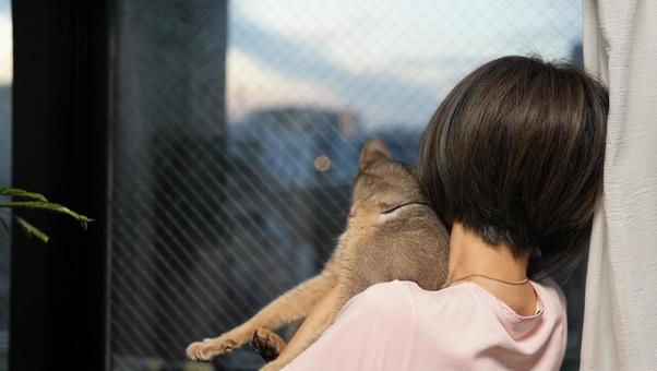部屋から外を猫と眺める女性 アビシニアン,猫,女性の写真素材