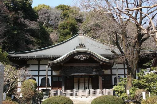 寺の本殿と木 寺,本殿,神社仏閣の写真素材