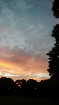 夕暮れ2 夕暮れ2の写真