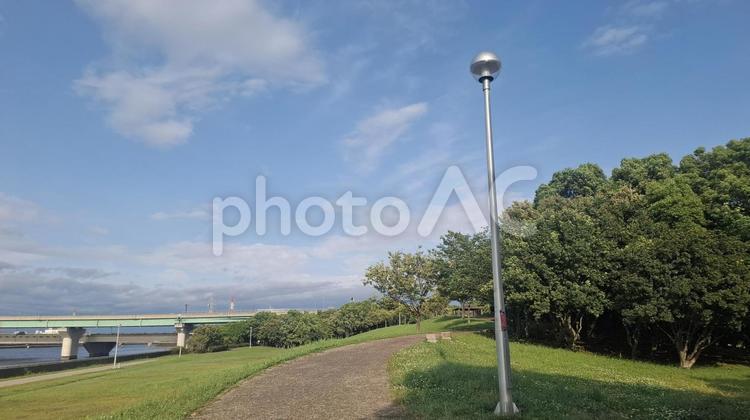 公園散策　外灯 緑,植物,青空の写真素材