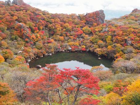 大船山御池紅葉 大船山御池紅葉の写真