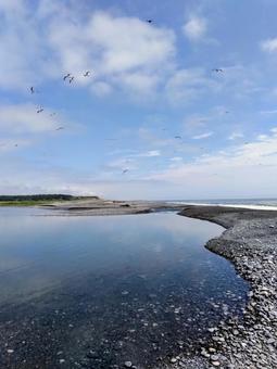 山の日 の歴舟川と太平洋 美しい海岸線 山の日 の歴舟川と太平洋 美しい海岸線 海,自然,海景の写真素材