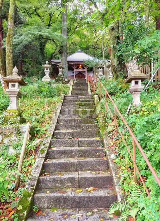 薬師堂　石段 薬師堂,お堂,仏堂の写真素材