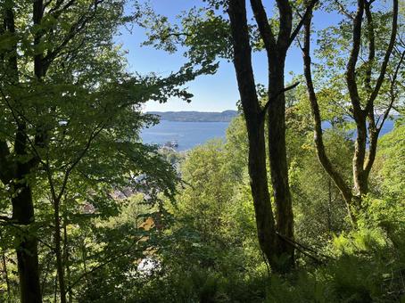 フロイエン山 フロイエン山 フロイエン,ベルゲン,ノルウェーの写真素材