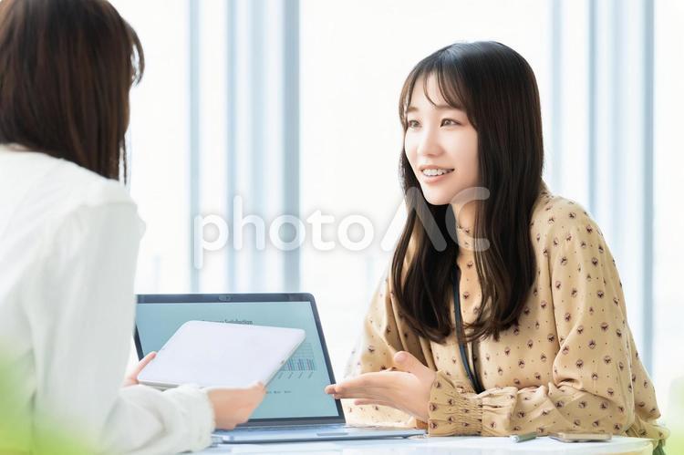ミーティングをする2人のビジネスウーマン 女性,ビジネス,ミーティングの写真素材