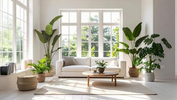 白基調の明るい部屋の写真