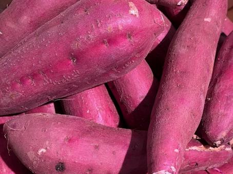 sweet potato, JPG