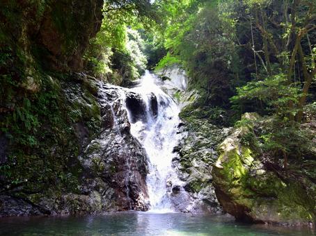 滝 滝の写真