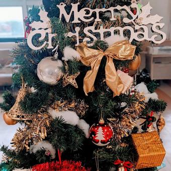 施設のクリスマスツリー クリスマスパーティー,ウインター,メリークリスマスの写真素材