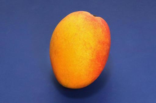 Photo, plant, fruit, fruits, 