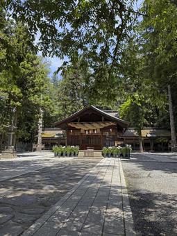 Photo, suwa big society, boss, haruhi palace, 