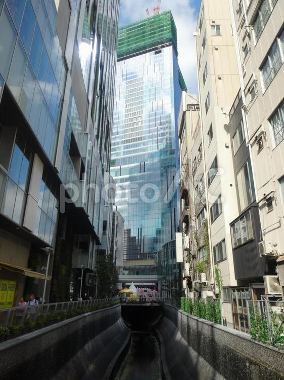 渋谷川と渋谷ストリーム 渋谷,ストリーム,渋谷川の写真素材