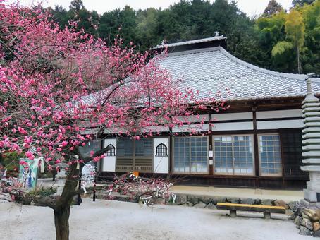 1月の最勝寺 最勝寺,越生,七福神の写真素材