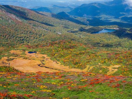 紅葉の栗駒山(須川岳)竜泉ヶ原 紅葉の栗駒山(須川岳)竜泉ヶ原 栗駒山,須川岳,紅葉の写真素材