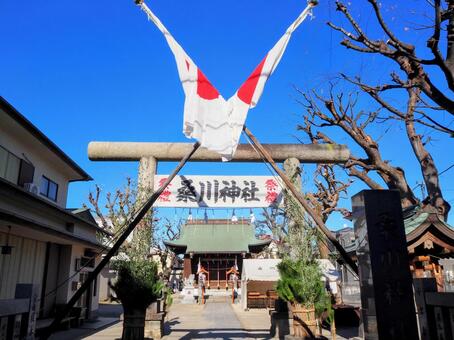 冬の桑川神社・正月の初詣（江戸川区葛西） 冬,初詣,桑川神社の写真素材