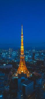 スマホ壁紙サイズの東京夜景 #1 夜景,東京タワー,スマホの写真素材