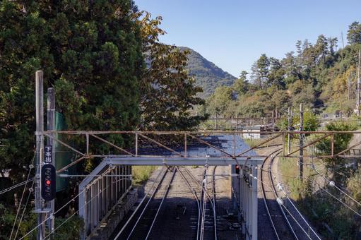 初鹿野諏訪神社の朴の木 初鹿野諏訪神社,神社,伝説の写真素材