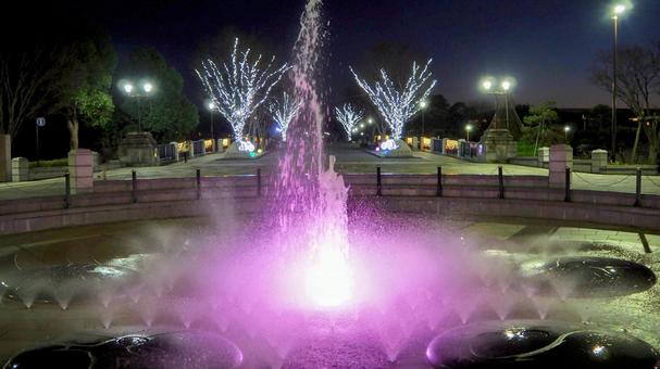 葛西臨海公園のイルミネーション・江戸川区の写真