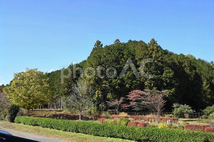 栃木県にて、風景 自然,風景,空の写真素材