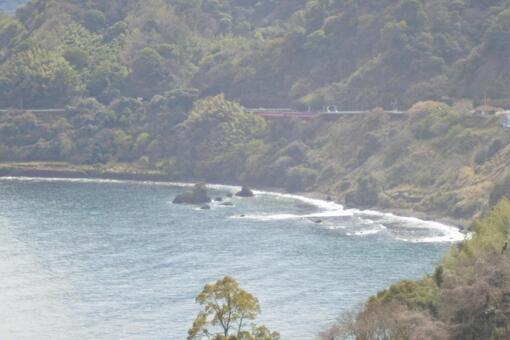 海と樹木の写真