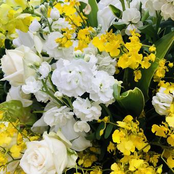 花束 花束 春,花,季節感の写真素材