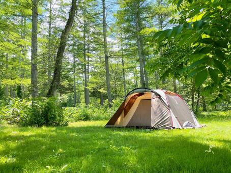 テントと森林 テント,草原,キャンプ場の写真素材
