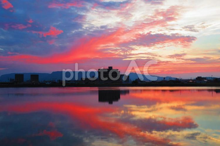７月下旬の野田池の朝焼け 背景,朝焼け,たそがれの写真素材