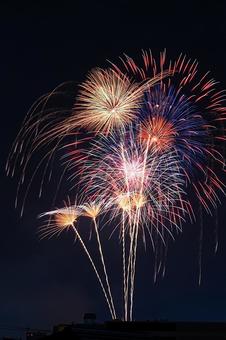 打ち上げ花火 打ち上げ花火 打上げ花火,夏祭り,花火大会の写真素材