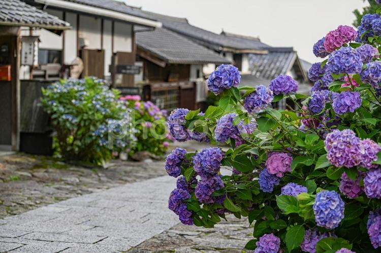 宿場町馬籠宿を観光する 馬籠宿,岐阜,中津川の写真素材
