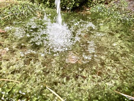 Image of spring water landing, JPG Image of spring water landing, JPG