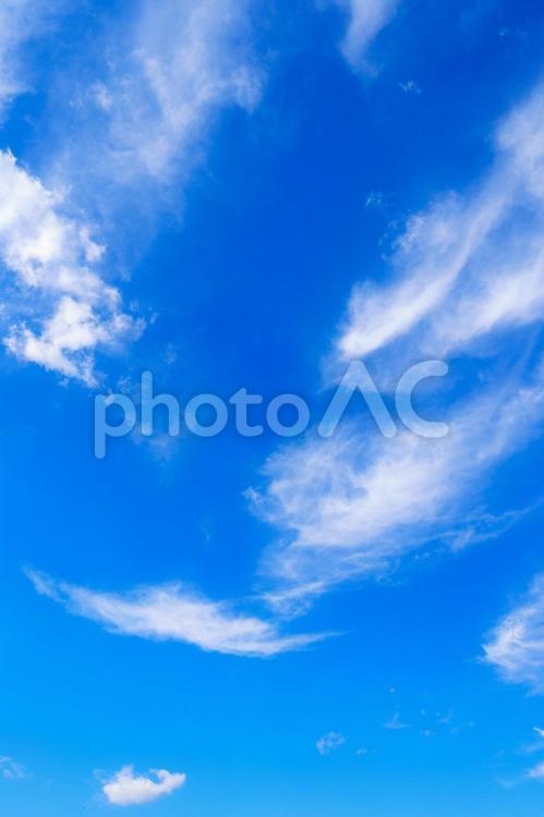 青空と雲 青空,空,快晴の写真素材