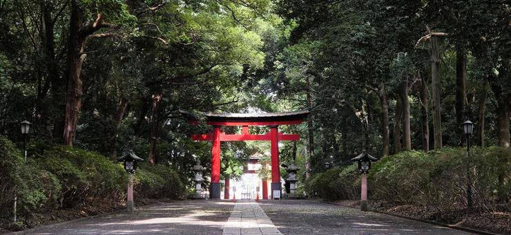 鳥居 鳥居の写真