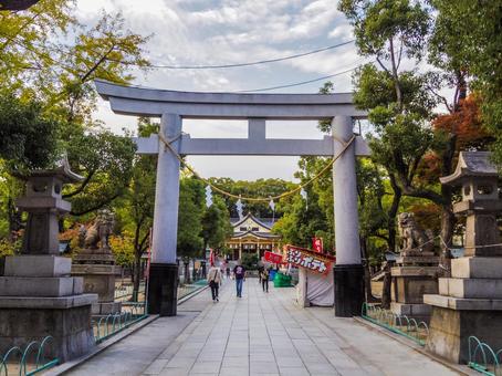 【兵庫県】神戸市・湊川神社 湊川神社,神戸市,寺社仏閣の写真素材
