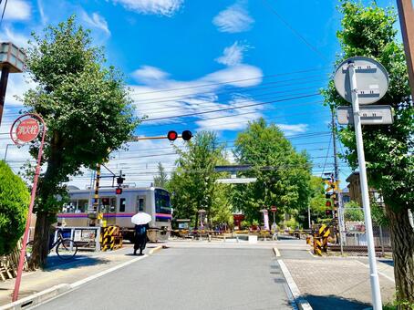【千葉県】葛飾八幡宮と京成本線の踏切 葛飾八幡宮,京成八幡,八幡宮の写真素材