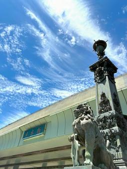 Photo, blue sky, to watch, look up, 