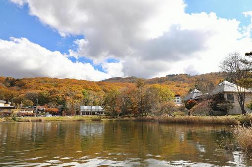 紅葉の白樺湖 紅葉の白樺湖の写真