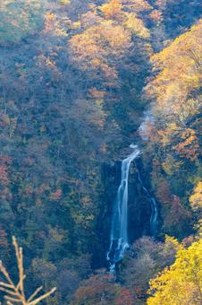 蔵王の紅葉(35)の写真