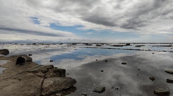 鵜ノ崎海岸 鵜ノ崎海岸 鵜ノ崎海岸,海,海岸の写真素材