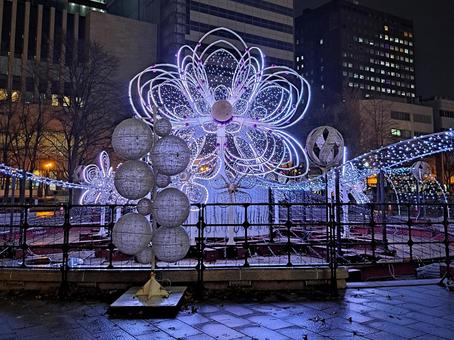 2025ホワイトイルミネーション　札幌 札幌,イルミネーション,準備の写真素材