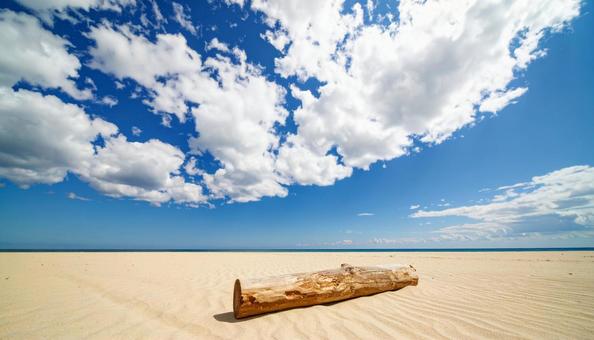海と砂浜と流木と青い空 海と砂浜と流木と青い空の写真
