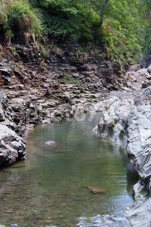 山の中を流れる川 緑,川,岩の写真素材