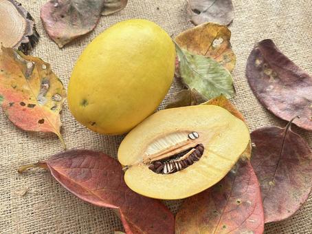 かりん かりん,フルーツ,果実の写真素材