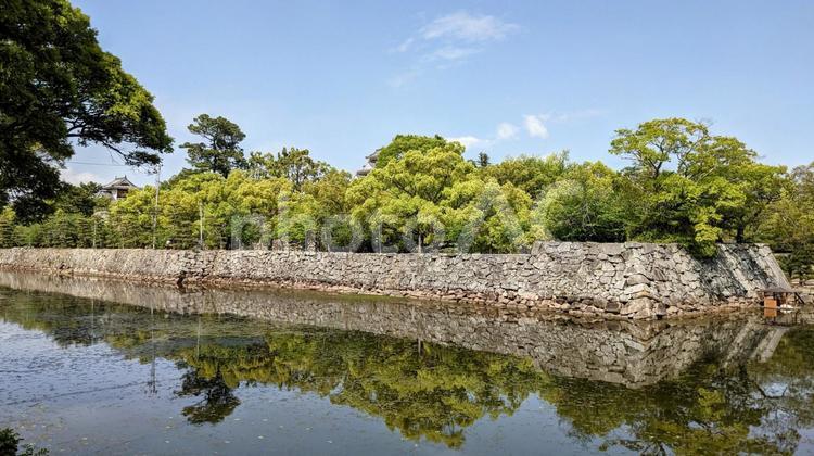 岡山城のお堀 岡山,岡山城,堀の写真素材
