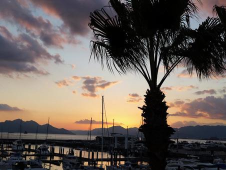 広島観音マリーナの写真