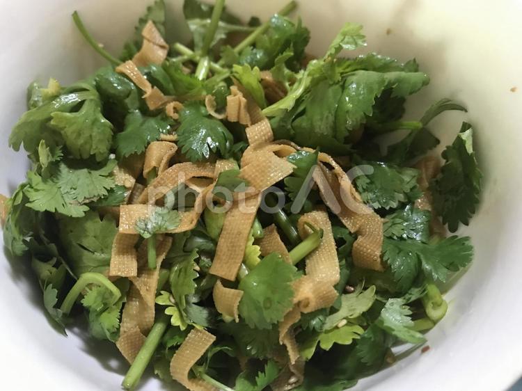 豆腐皮とパクチーのサラダ 豆腐皮,パクチー,トウフーピーの写真素材
