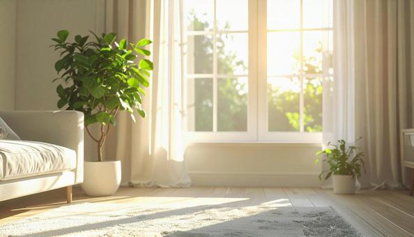 朝の日射しの写真